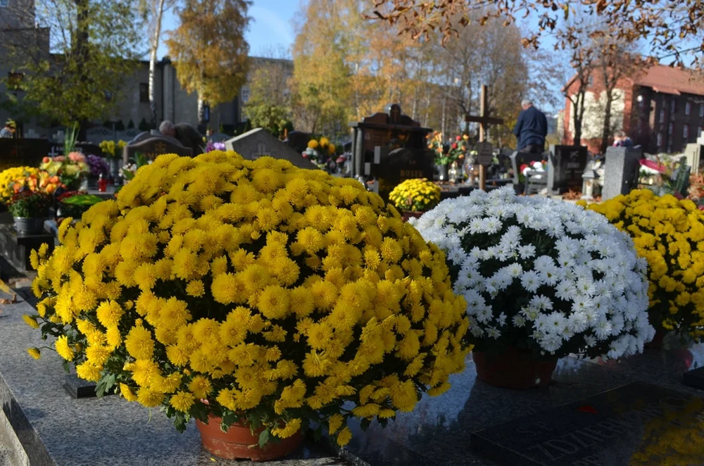 Wszystkich Świętych 9
