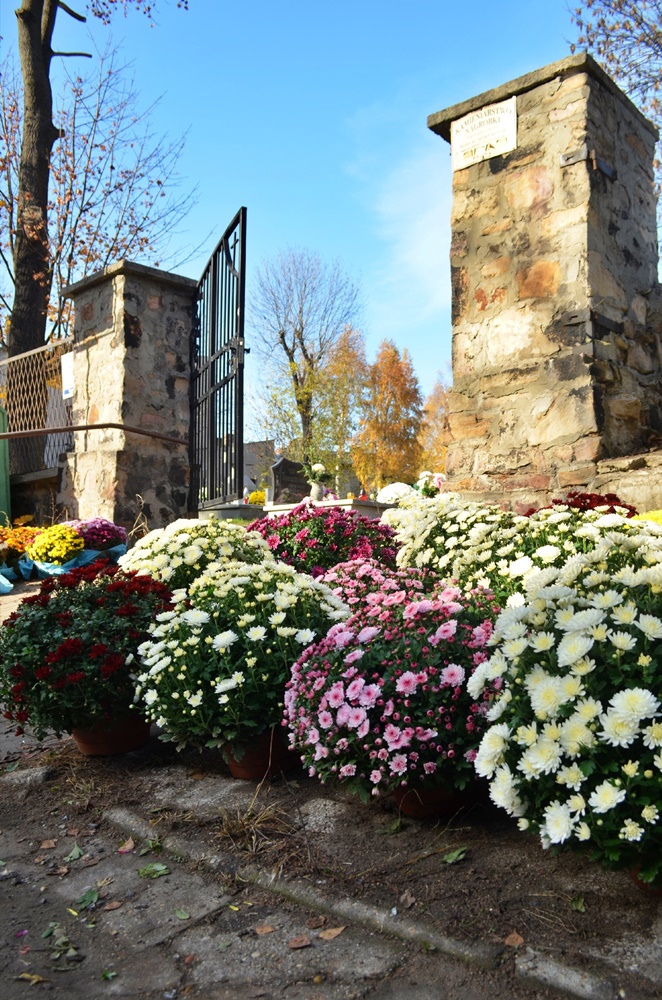 Wszystkich Świętych 10