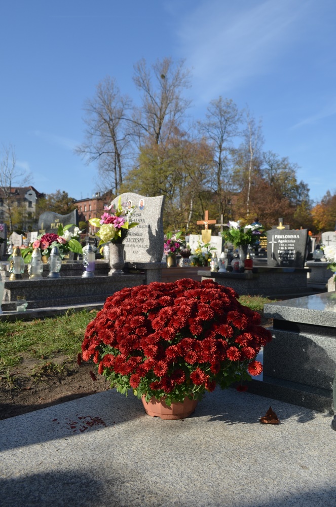 Wszystkich Świętych 12