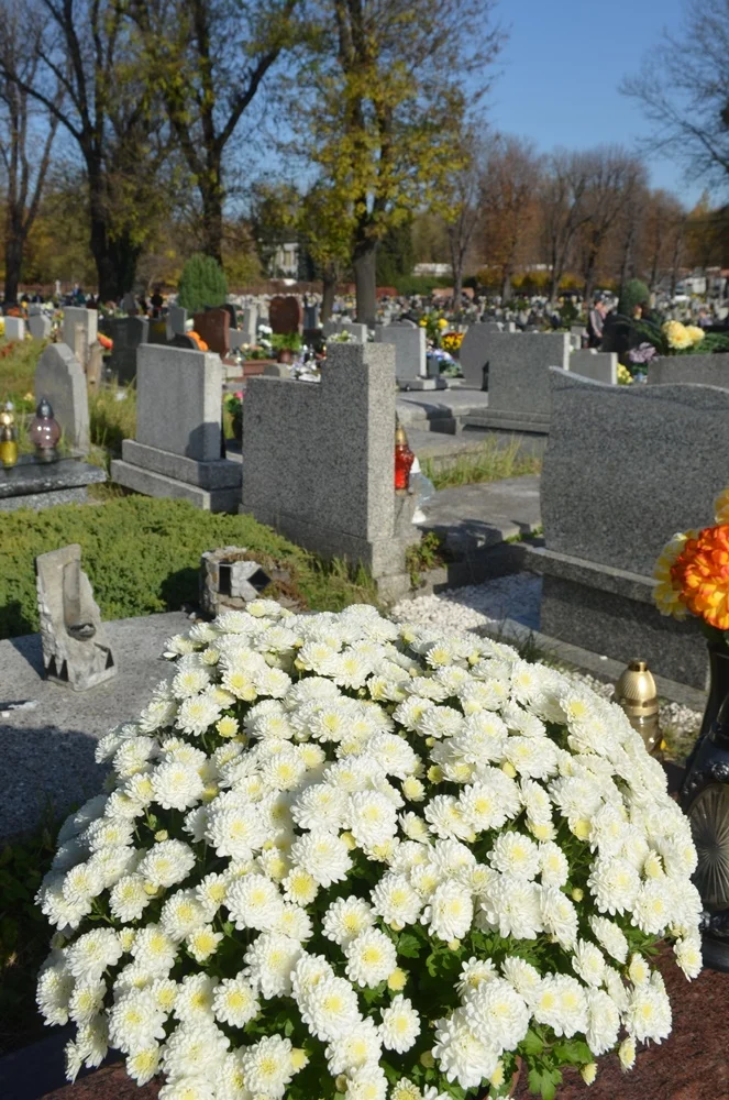 Wszystkich Świętych 21