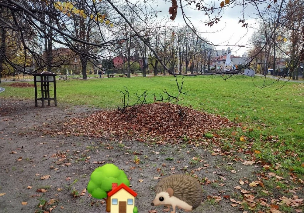 Ruda Śląska: Kopce dla jeży powstały na kochłowickich plantach