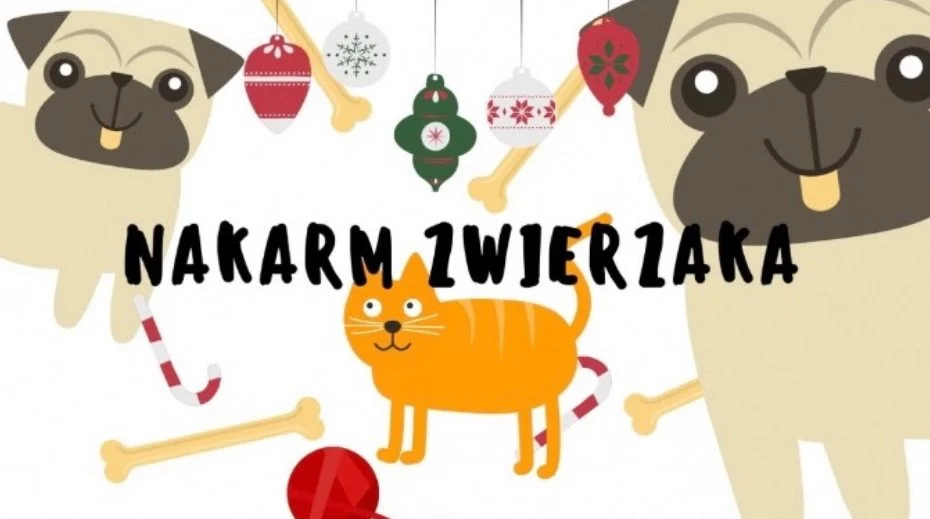 Trwa świąteczna zbiórka na rzecz rudzkiego schroniska TOZ "Fauna"