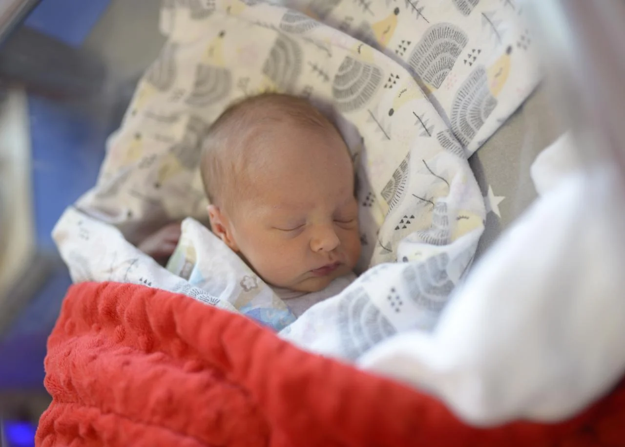 Najmłodsi mieszkańcy - listopad 2022