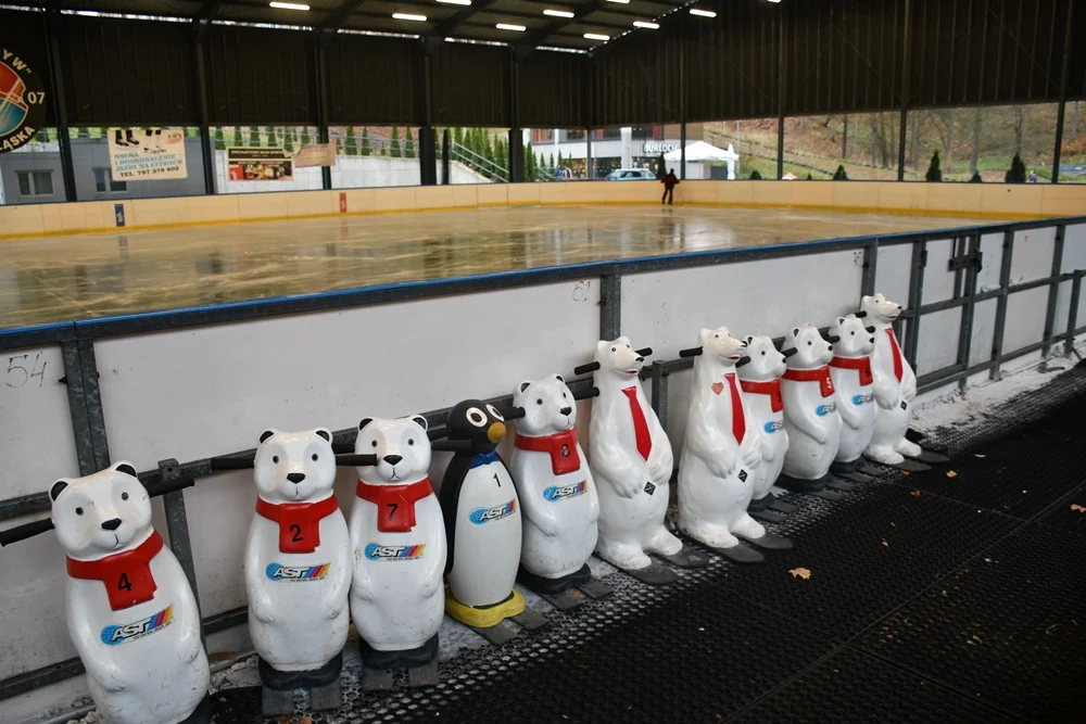 Otwarcie lodowiska na Burloch Arenie 17