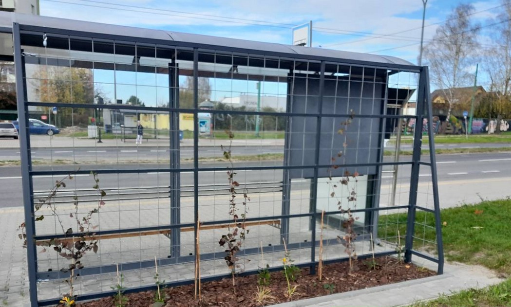 Powiększa się sieć zielonych przystanków w Tychach. W mieście pojawiły się trzy nowe