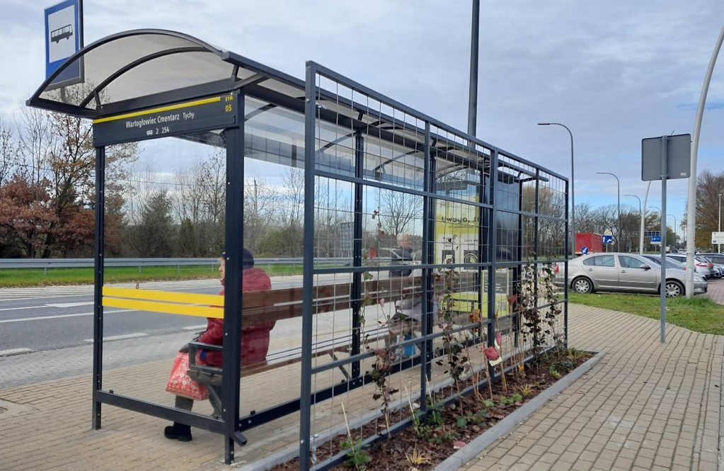 Powiększa się sieć zielonych przystanków w Tychach. W mieście pojawiły się trzy nowe