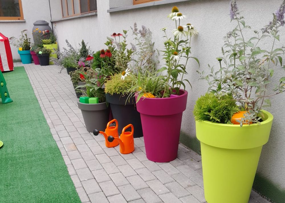 "Ogród doświadczeń" w Miejskim Przedszkolu nr 17