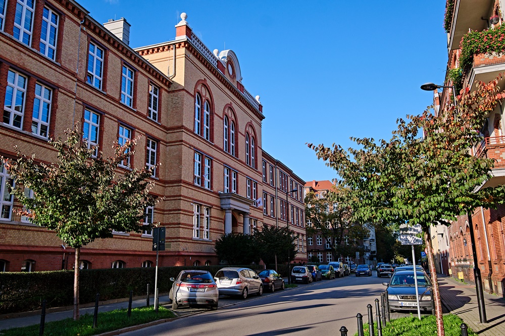 Koncert Aleksandra Teligi. Przyjdź na bezpłatne wydarzenie!