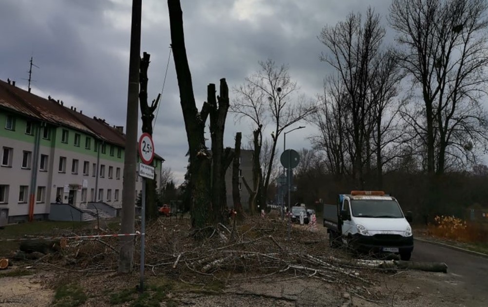 Drzewa zagrażające bezpieczeństwu do wycinki