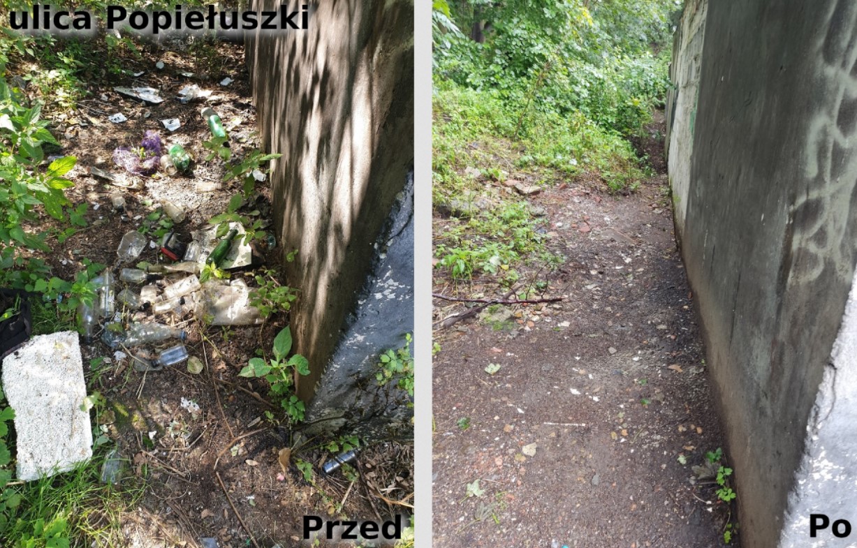 Kolejne dzikie wysypiska w Bytomiu zlikwidowane