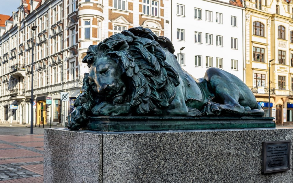 Śpiący Lew wyczyszczony