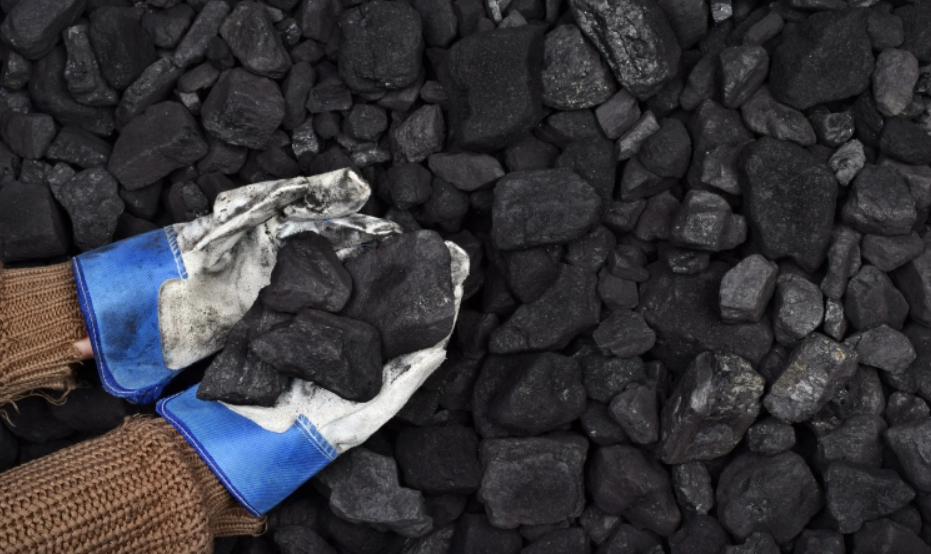 Ruszyły wnioski o zakup węgla. Sprawdź punkty przyjmowania dokumentów!