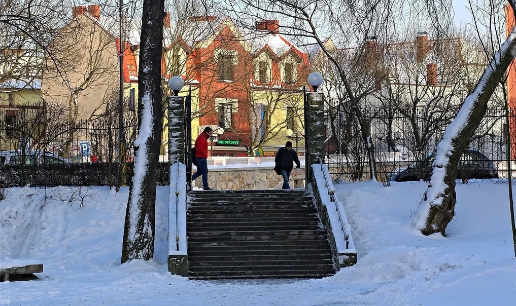Mikołów tej zimy oszczędzi na soleniu? Zaskakująca rada burmistrza dla mieszkańców