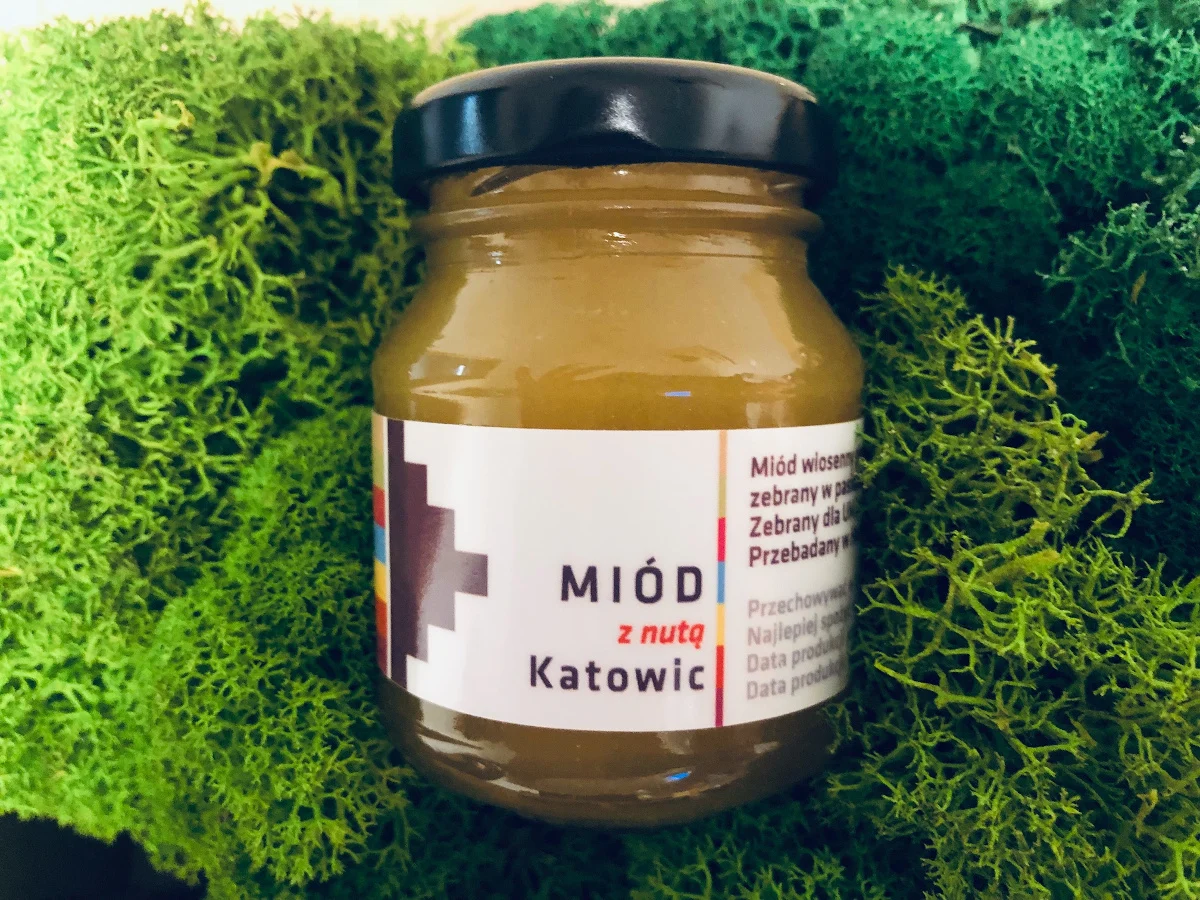 Słodkie Katowice? Wystarczy spróbować miodu z miejskich uli