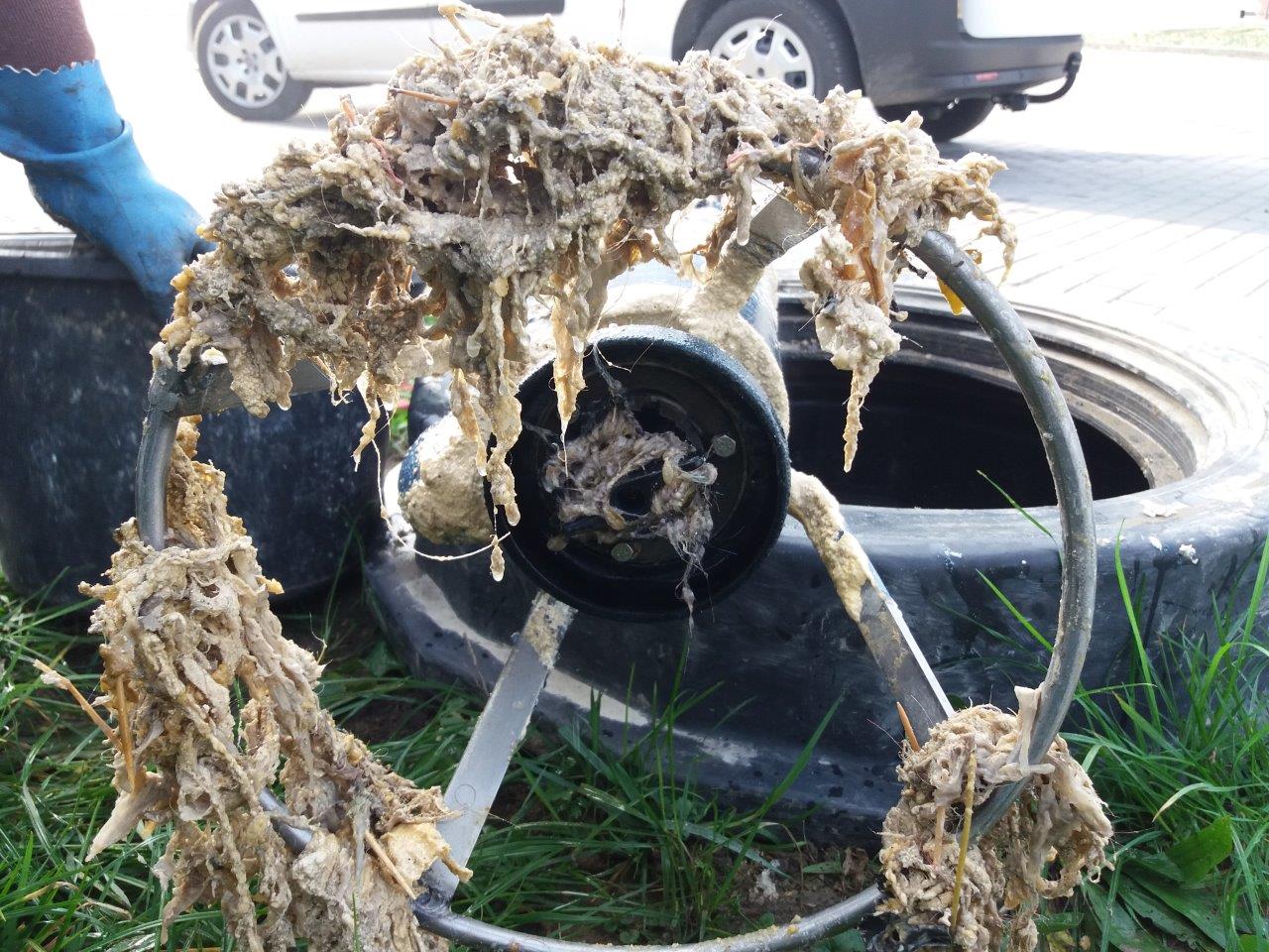 Tylko słonia brak..., czyli co wrzucamy do toalet