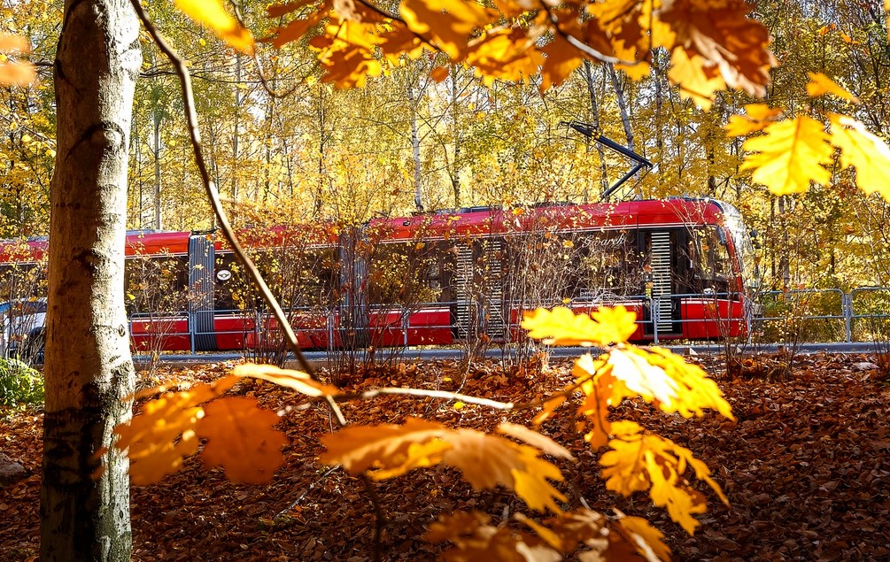 Od dziś ruch tramwajów między Katowicami i Chorzowem wstrzymany na trzy tygodnie