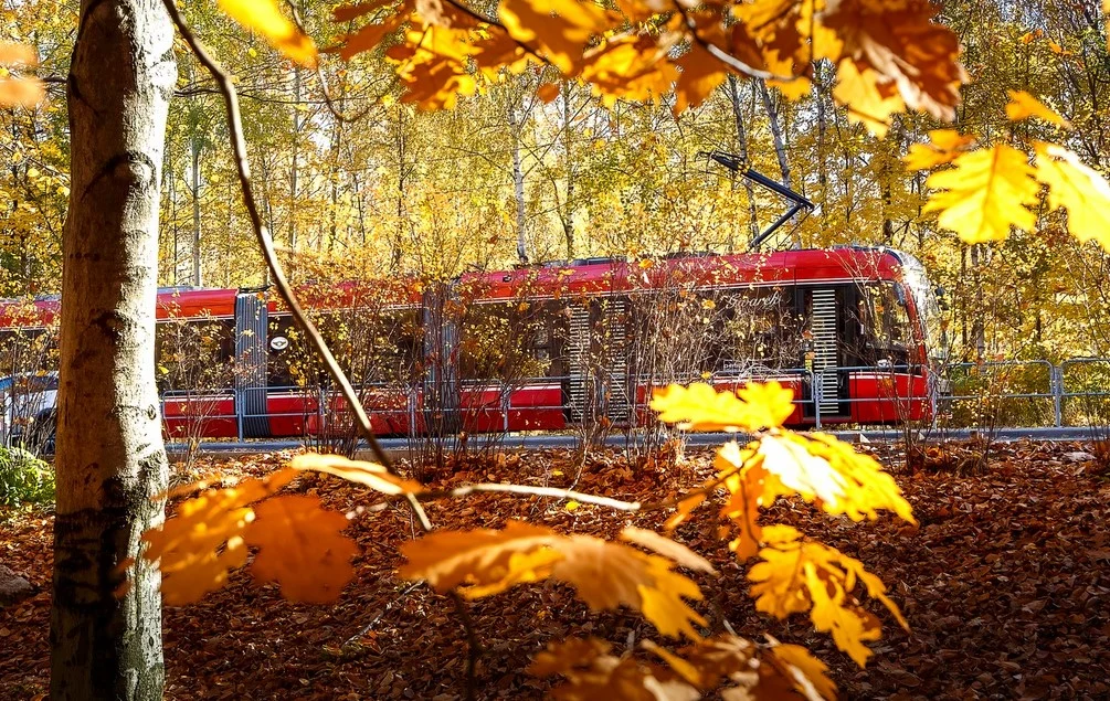 Od dziś ruch tramwajów między Katowicami i Chorzowem wstrzymany na trzy tygodnie