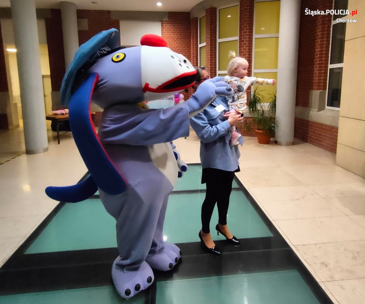 Światowy Dzień Wcześniaka w Chorzowie