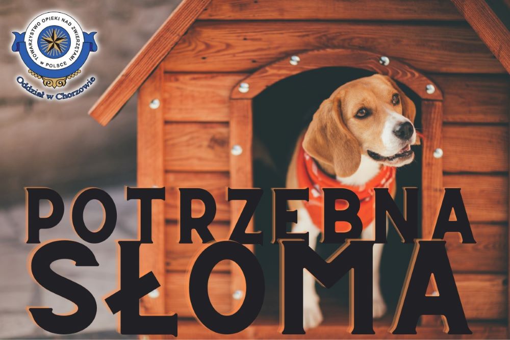 Schronisko potrzebuje słomy i kurteczek dla podopiecznych!