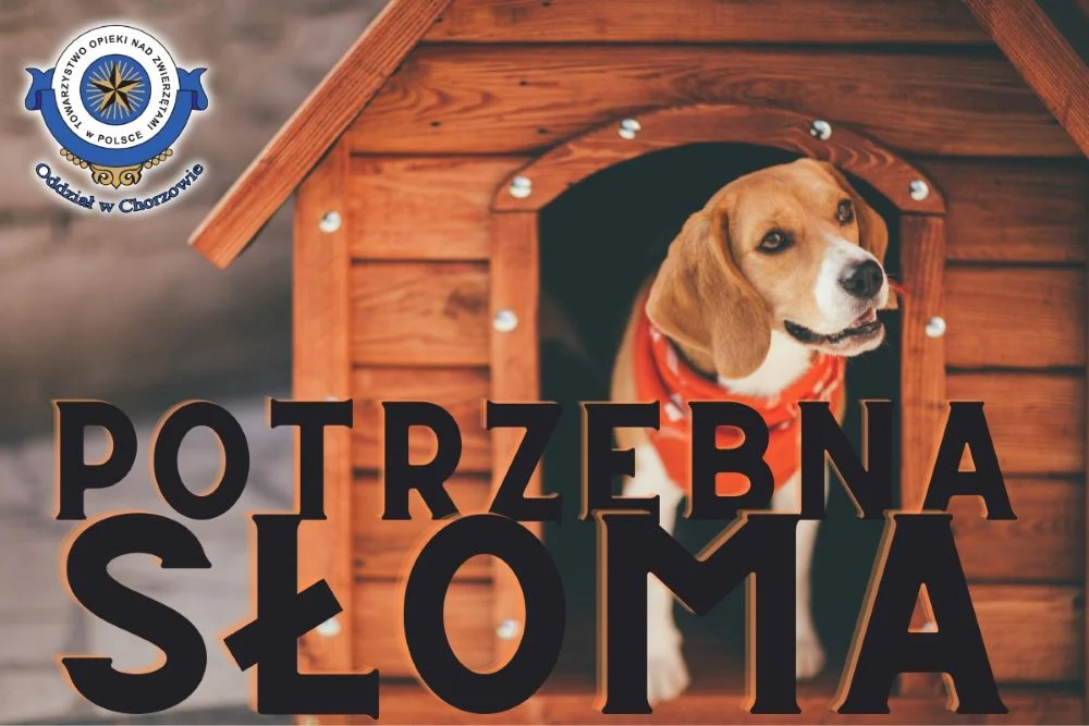 Schronisko potrzebuje słomy i kurteczek dla podopiecznych!