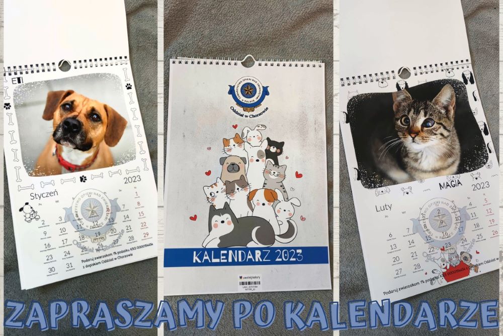 Kalendarze z podopiecznymi schroniska już w sprzedaży!