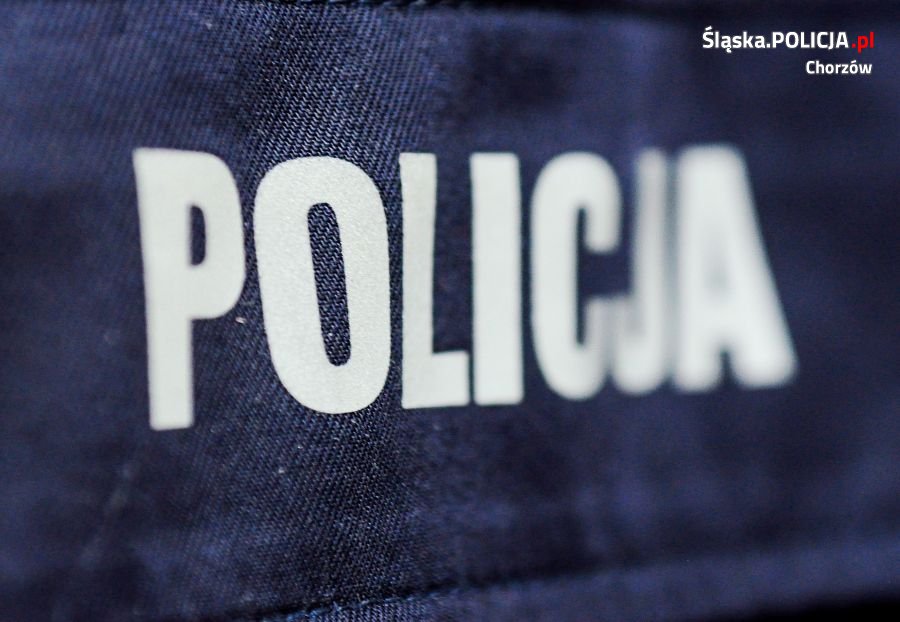 Wyziębiony pies zamknięty w samochodzie. Mieszkanka Chorzowa zawiadomiła policję