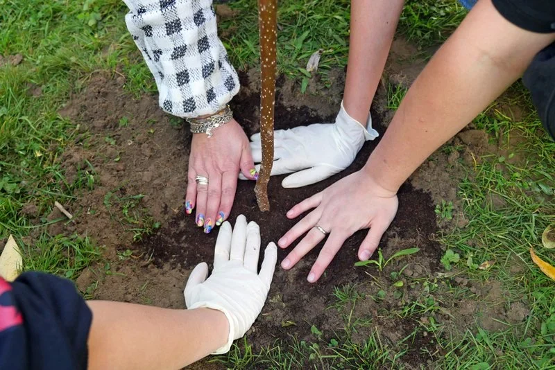 Akcja nasadzeń nowych drzew i krzewów z okazji Światowego Dnia Drzewa