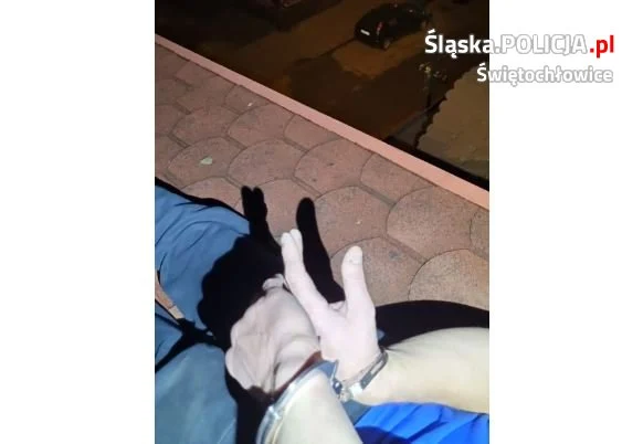 Poszukiwany 41-latek ukrył się na dachu