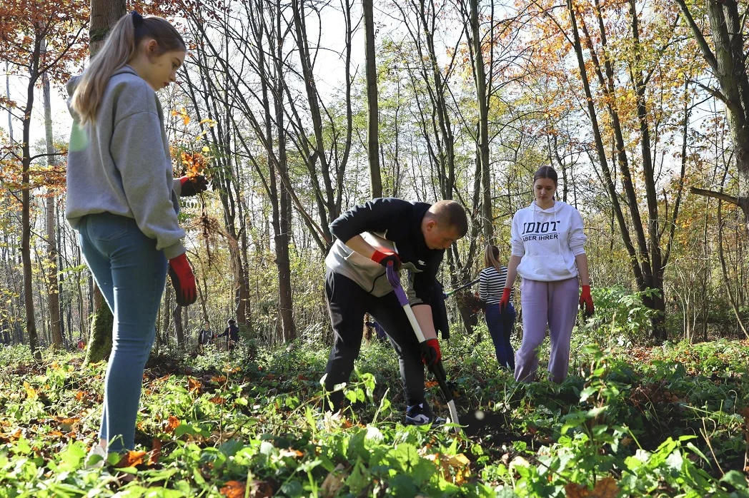 W Zabrzu zasadzono dwa tysiące nowych drzew!