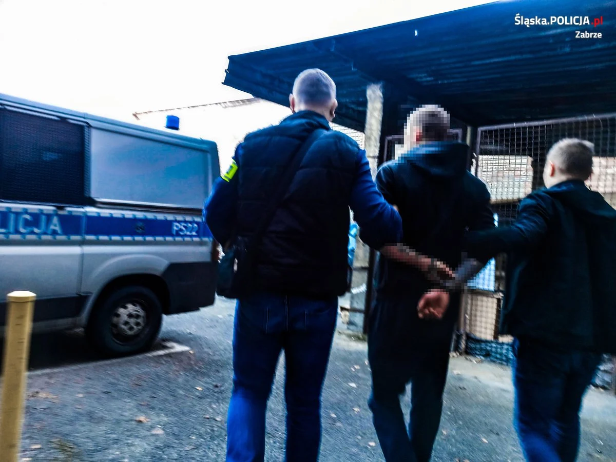 Trafili do aresztu za kradzież katalizatorów [FILM]