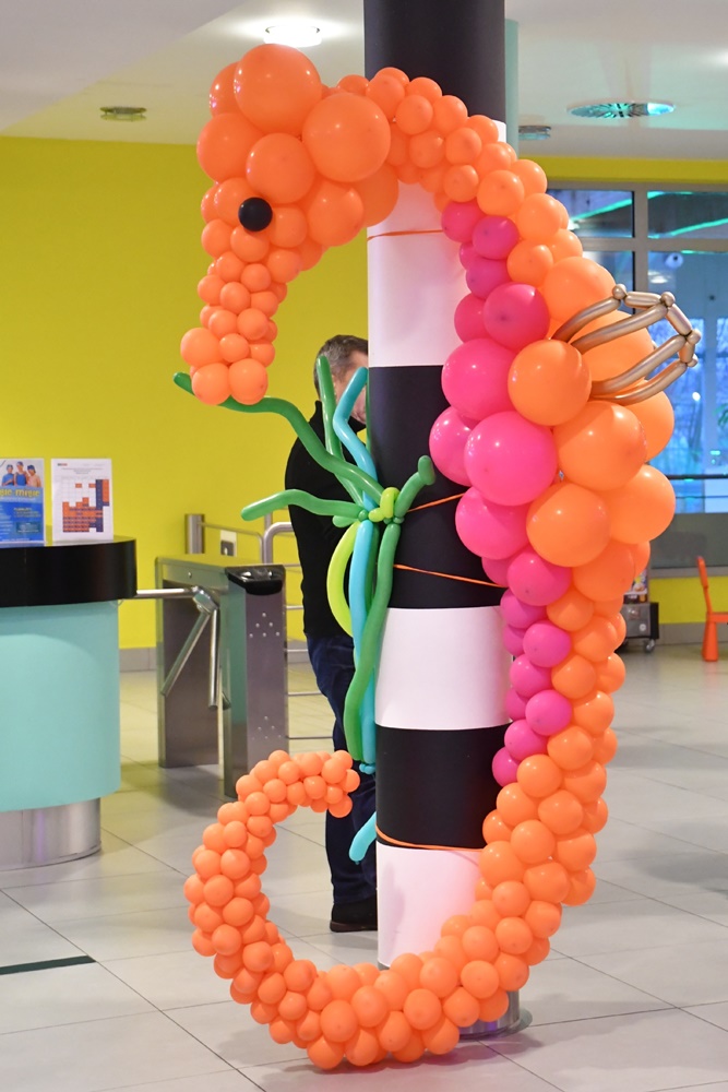 10-lecie Aquadromu w Rudzie Śląskiej 6