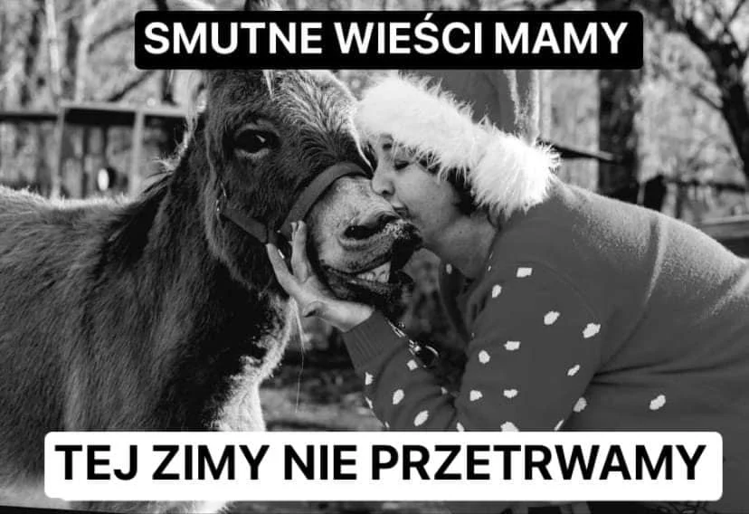Akuku może nie przetrwać zimy!