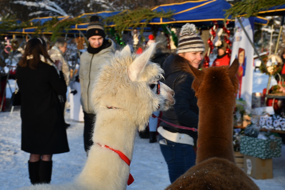 Świąteczne Kochłowice 12
