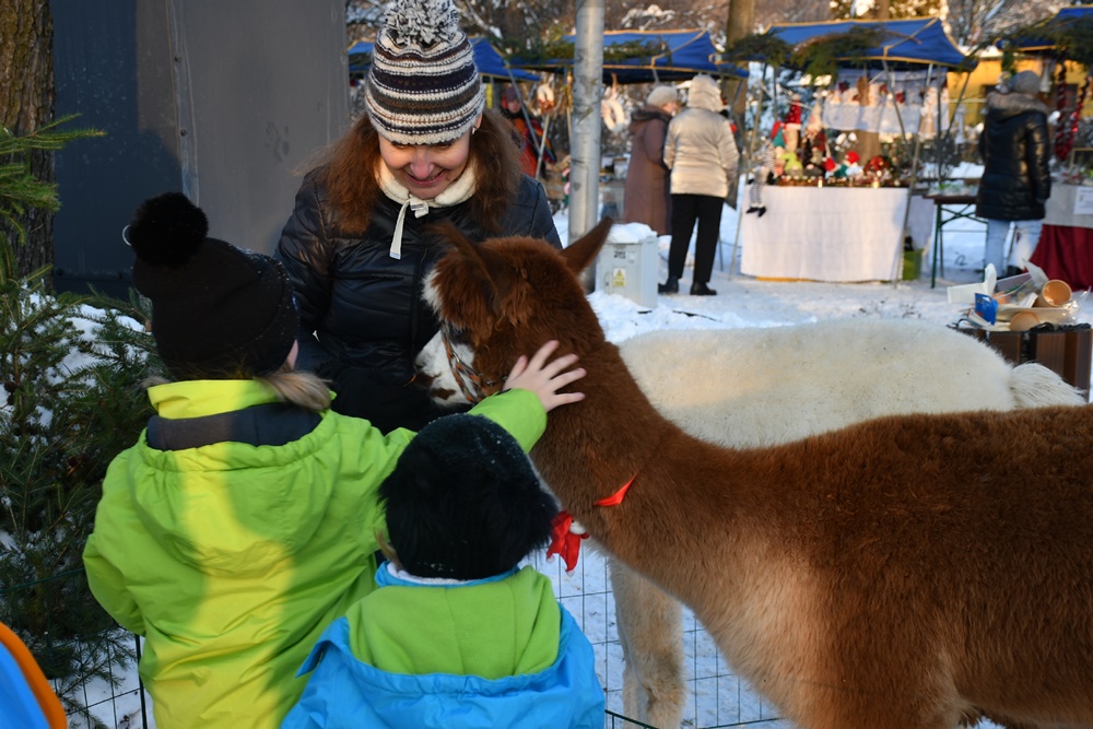Świąteczne Kochłowice 21