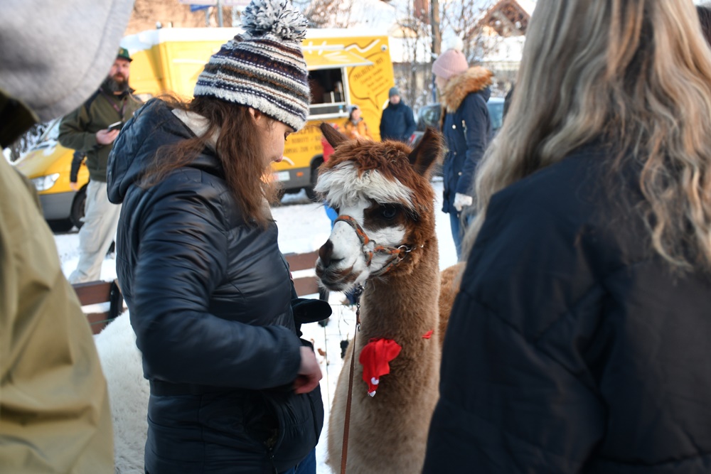 Świąteczne Kochłowice 28