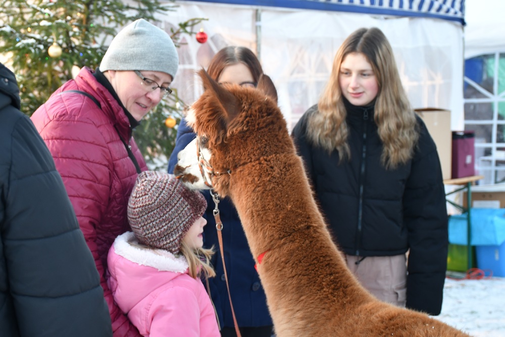 Świąteczne Kochłowice 29