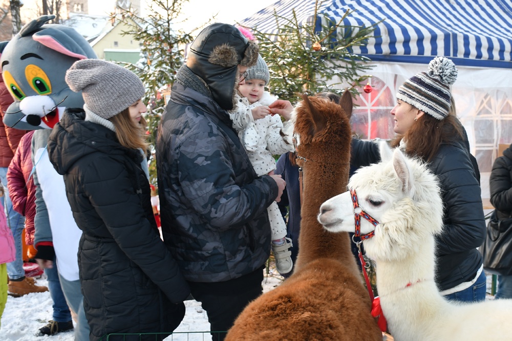 Świąteczne Kochłowice 30