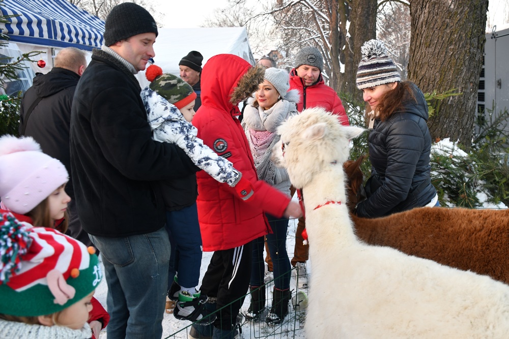 Świąteczne Kochłowice 34