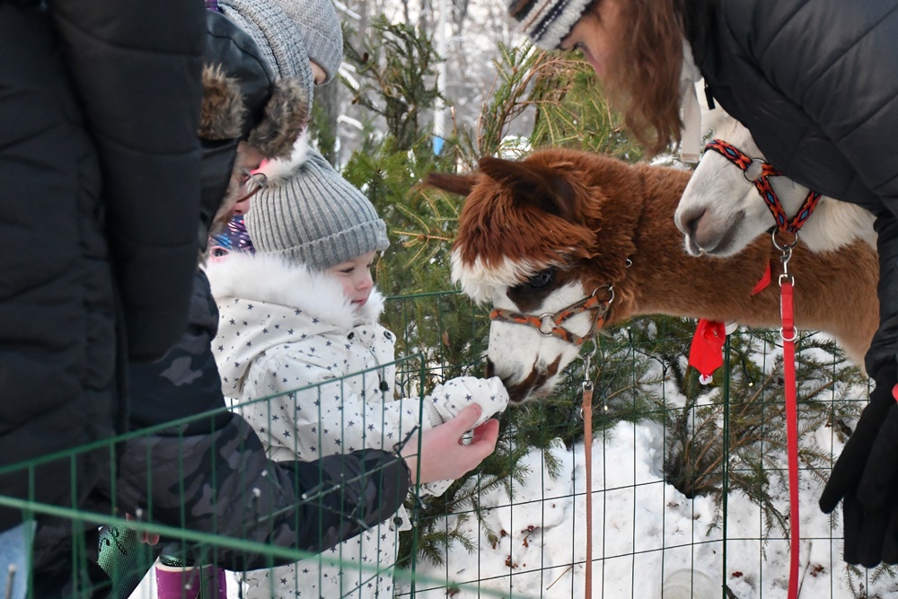 Świąteczne Kochłowice 41