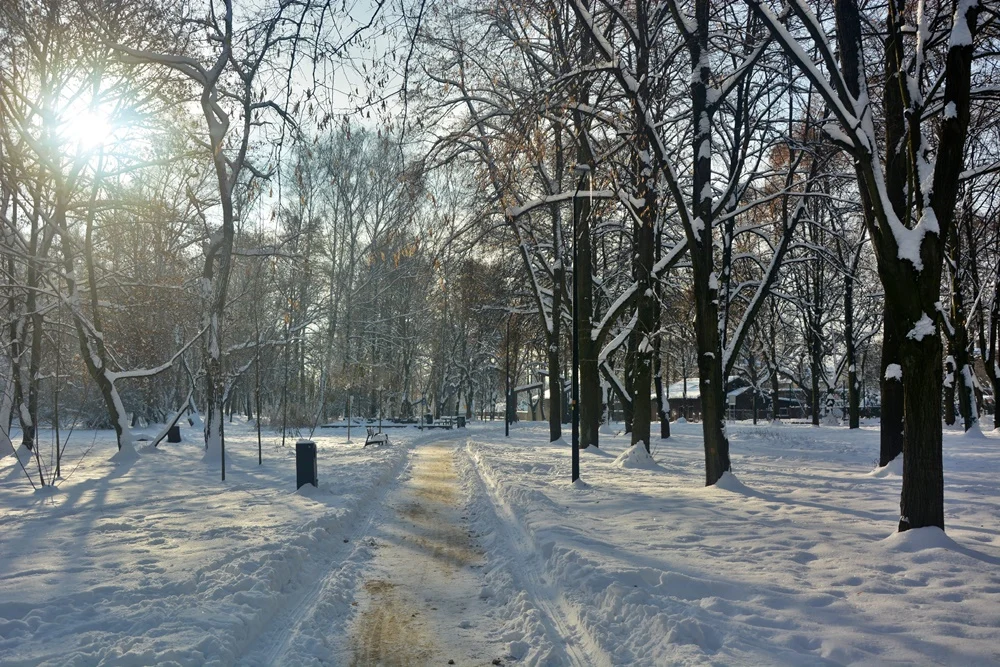 Zobaczcie, jak prezentuje się Ruda Śląska, przyozdobiona białym płaszczem [FOTO]