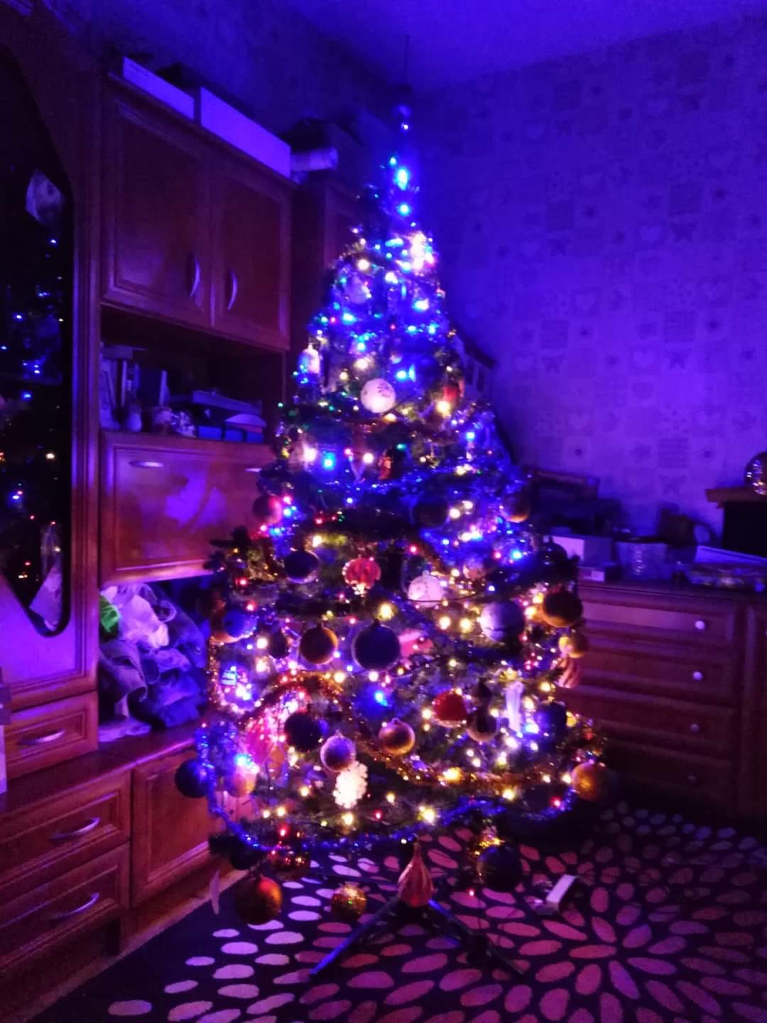 Czar świątecznego drzewka 21