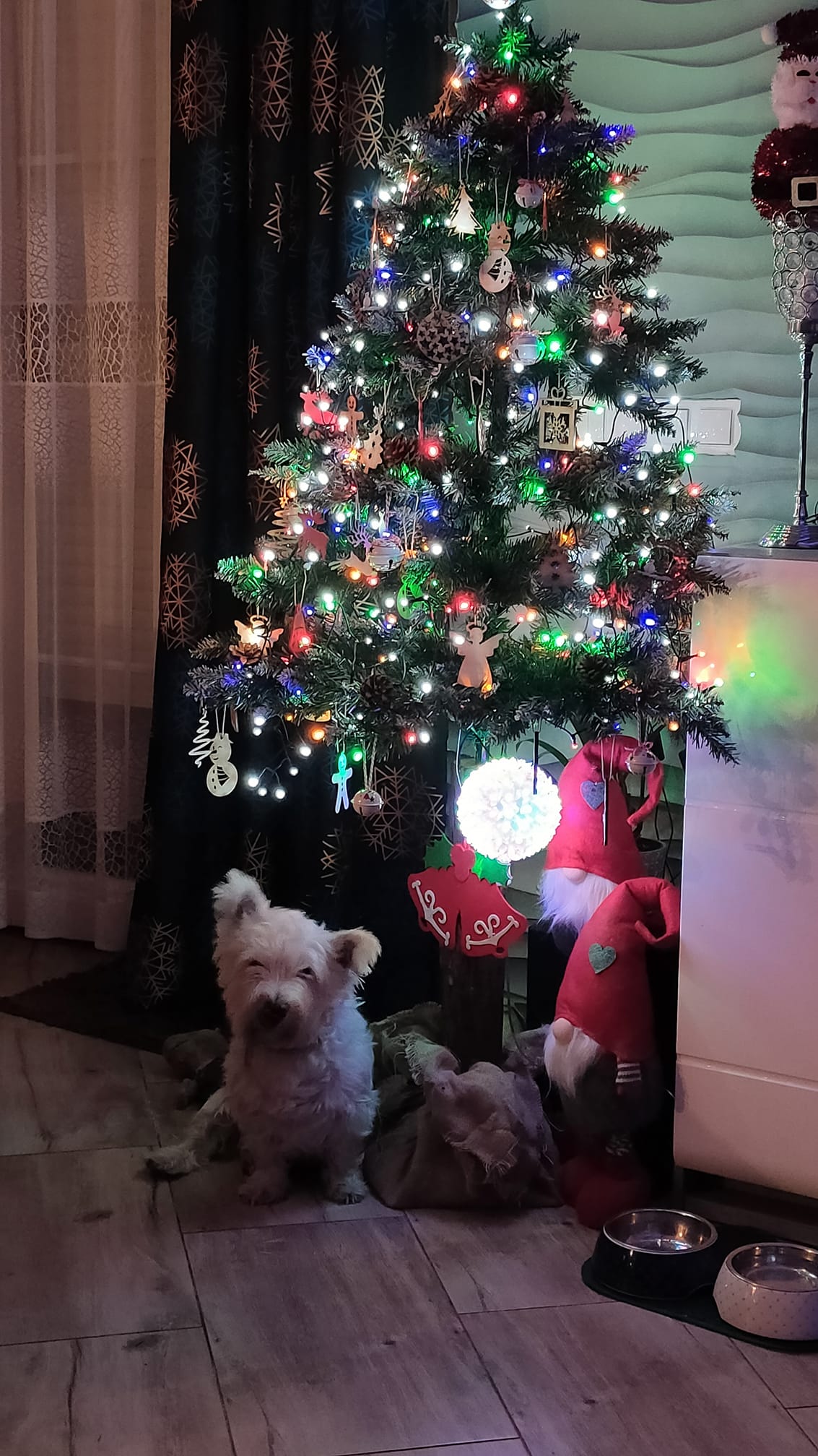 Czar świątecznego drzewka 36