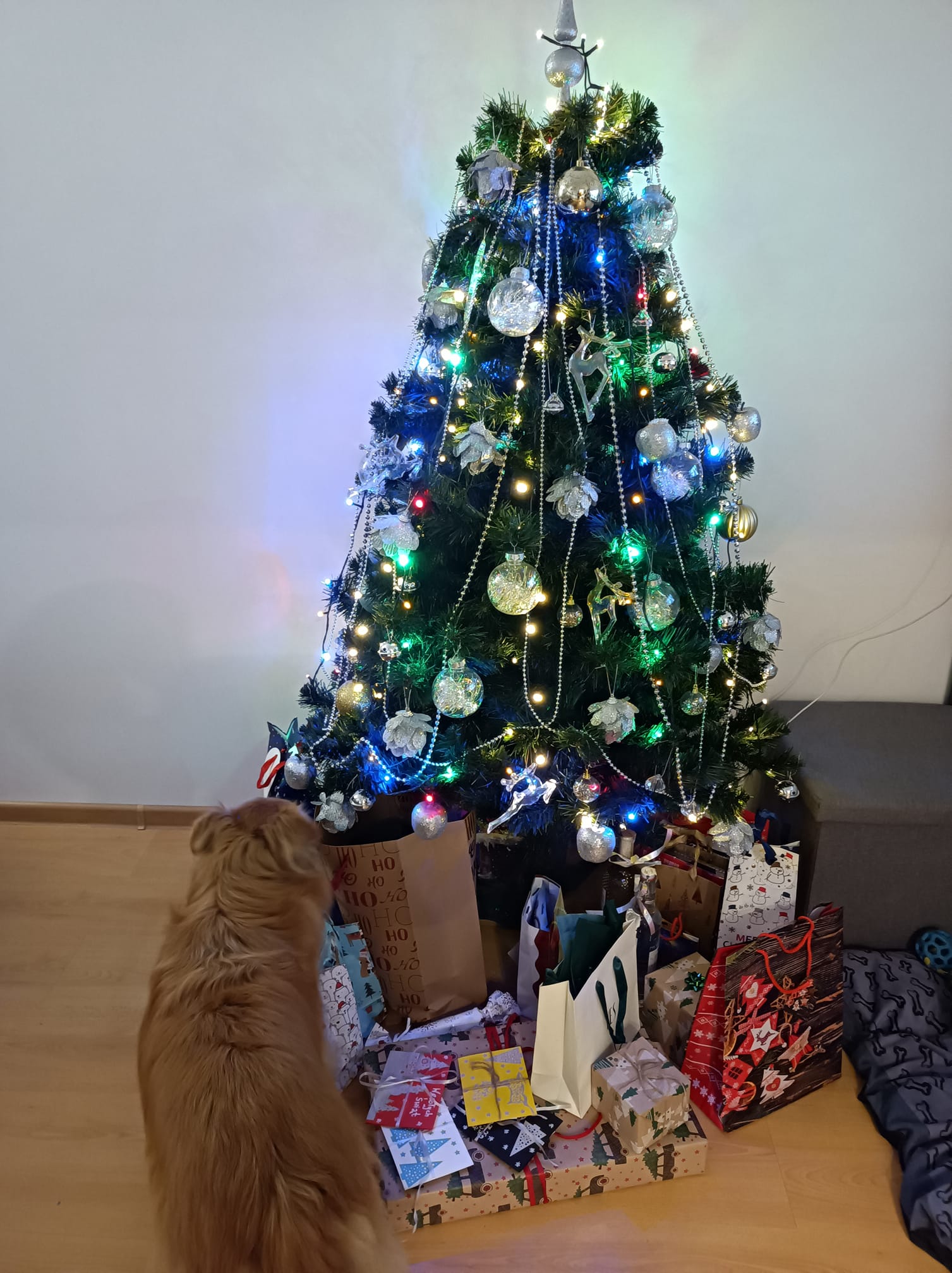 Czar świątecznego drzewka 91