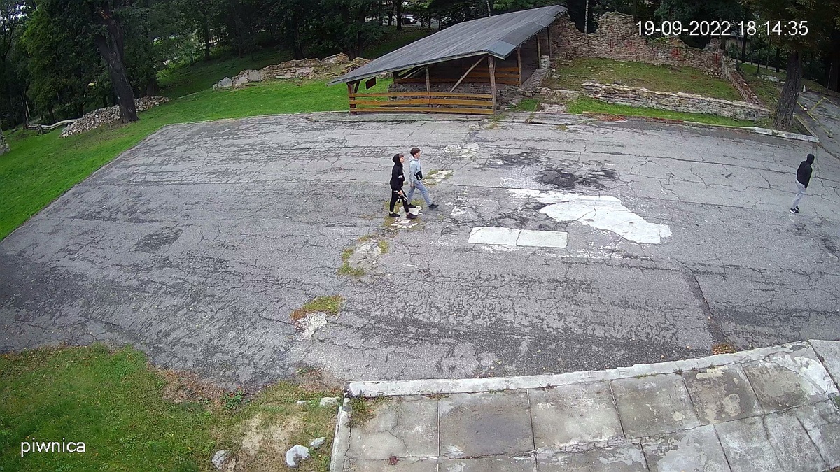 Zdewastowana pasieka przy ruinach Zamku Rudzkiego! Rozpoznajesz sprawców? 1