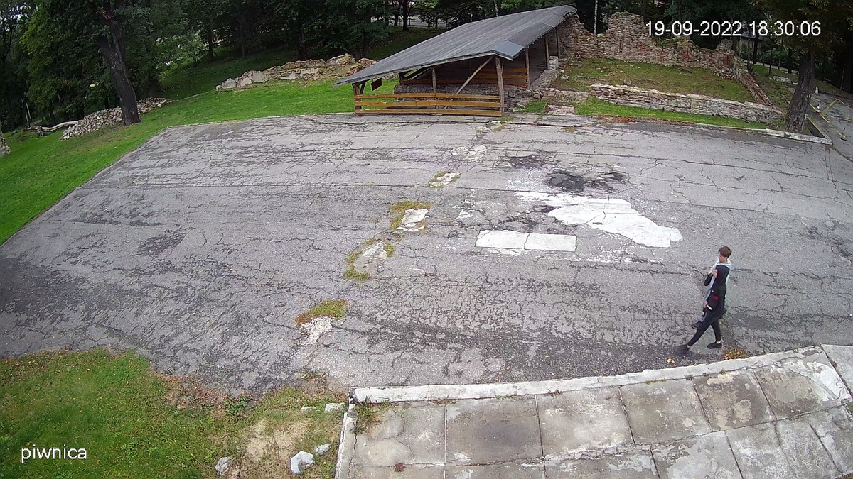 Zdewastowana pasieka przy ruinach Zamku Rudzkiego! Rozpoznajesz sprawców? 3