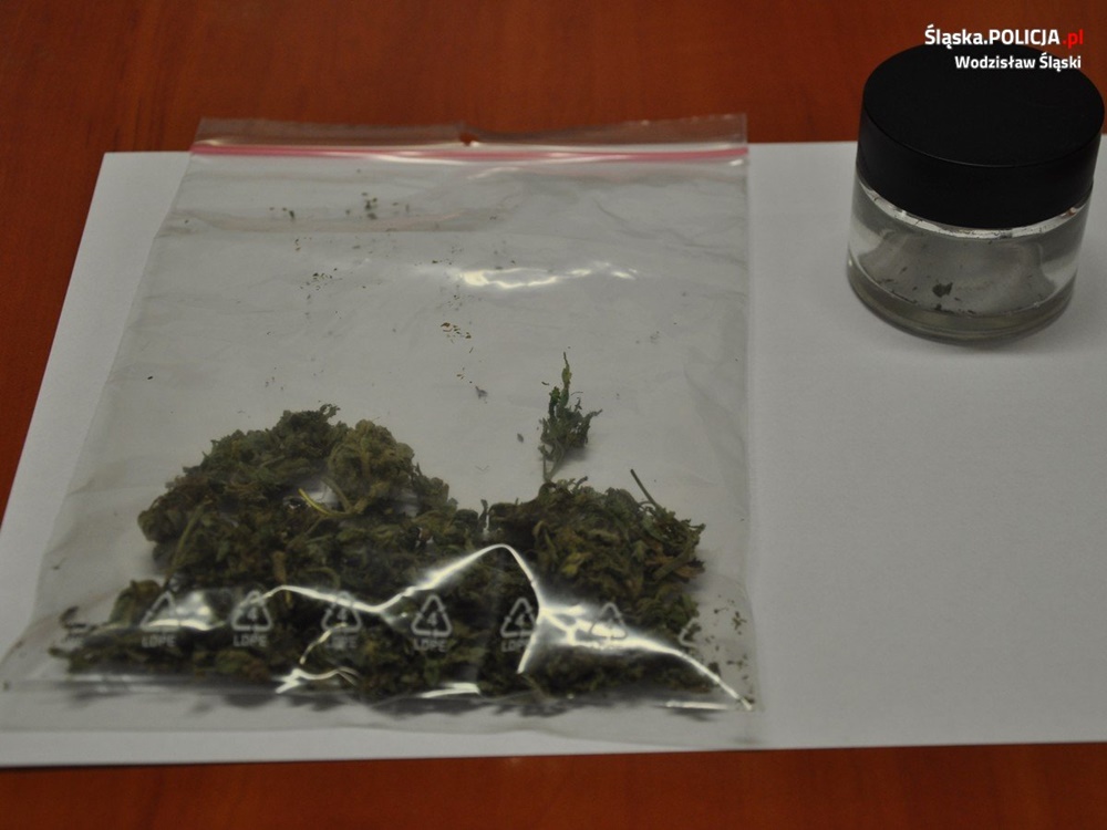 Miała być impreza. Są zarzuty za kradzież i za posiadanie marihuany