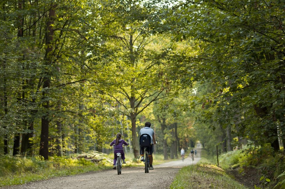 Tychy wnioskują o ochronę lasów
