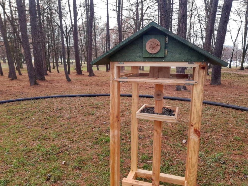Karmniki dla ptaków w tyskich parkach