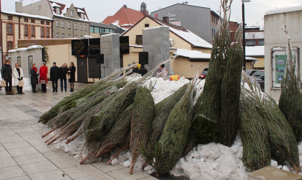 Choinki trafiły do Piekarzan