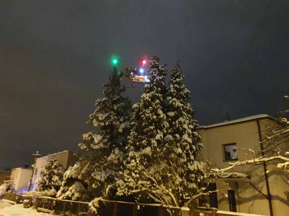 Straż Miejska wytypowała dwa podejrzane domy. Kontrola dymu za pomocą dronów
